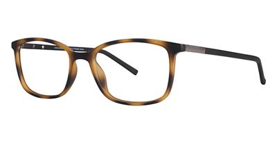 VIVID 240